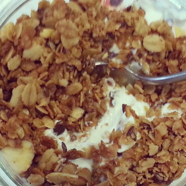Granola with Honey and Yogurt