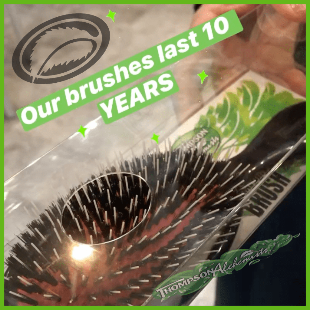 thompson alchemists brushes